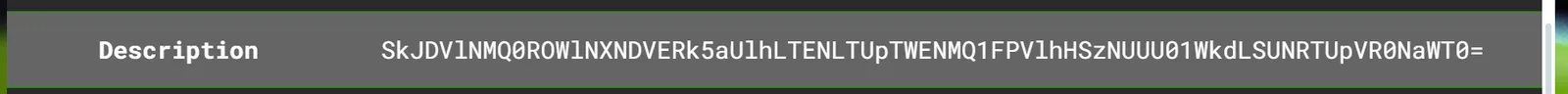 Image metadata Description field containing an encoded string