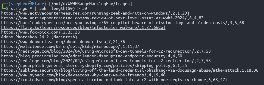 strings output listing URLs with paragraph, word and character numbers hidden in the site images